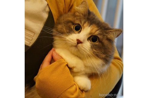 そば茶ちゃん1枚目
